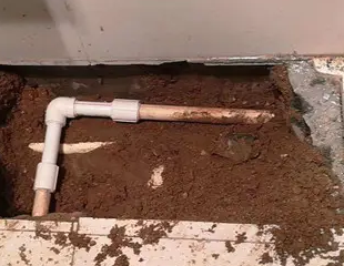 武川测漏水哪家好