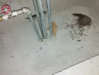 武川卫生间测漏水价格明细