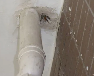 武川漏水检测哪家好